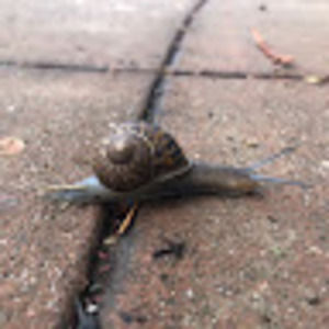 Meet your Posher, Jon shannon